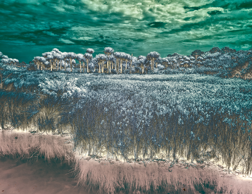 IR0_9945-Edit-2.jpg