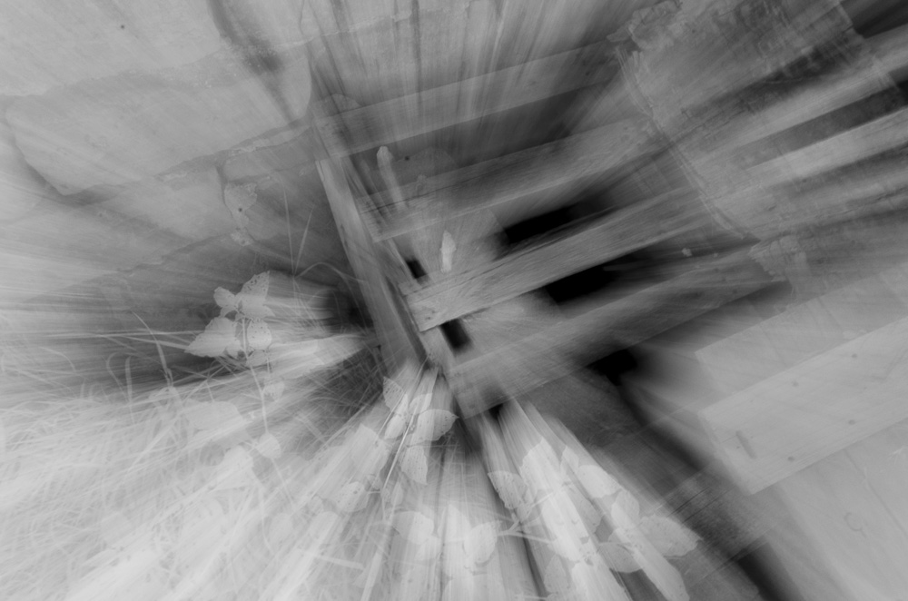 IR1_0100.jpg