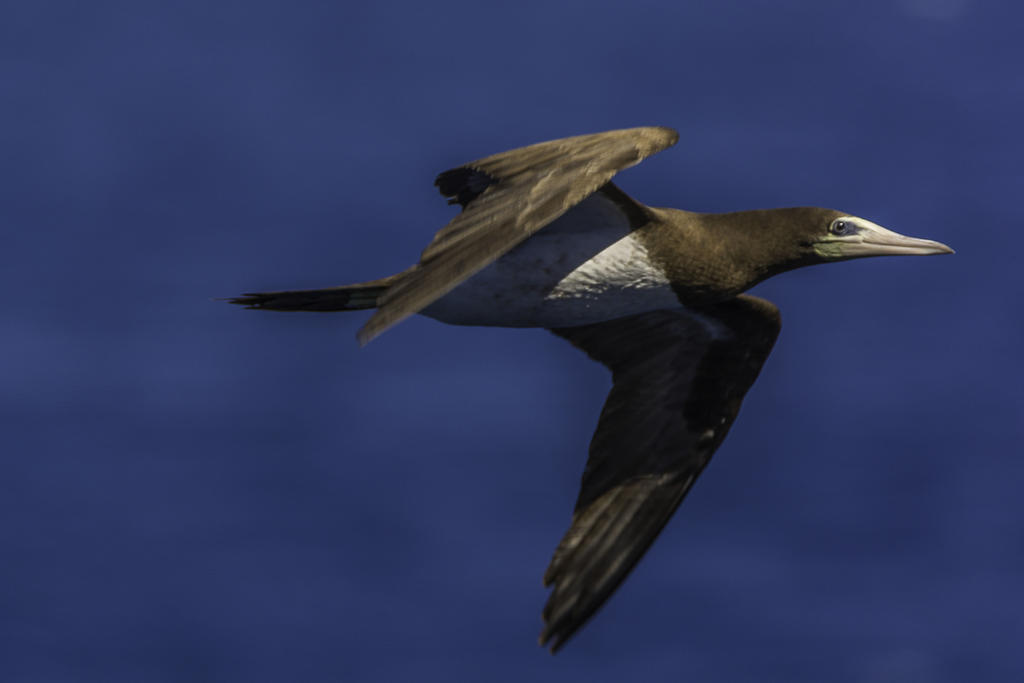 IVA_5362-Edit.jpg