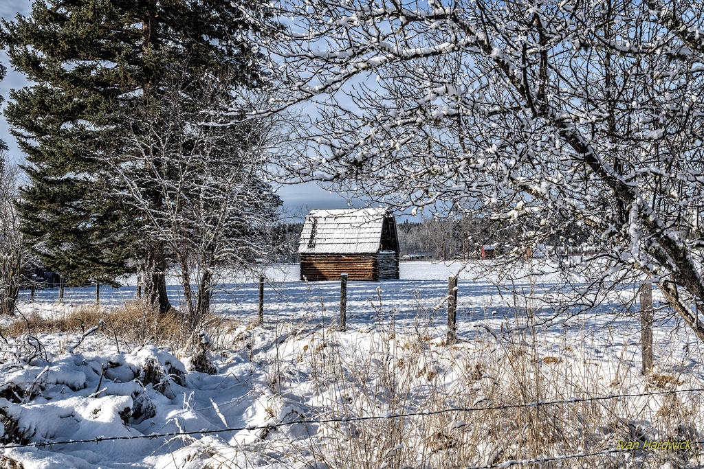 IVA_5485-Edit-Edit.jpg