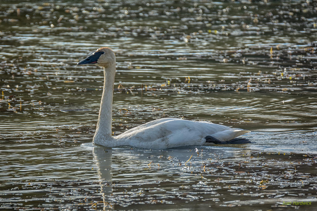 IVA_8950-Edit-Edit_HDR.jpg