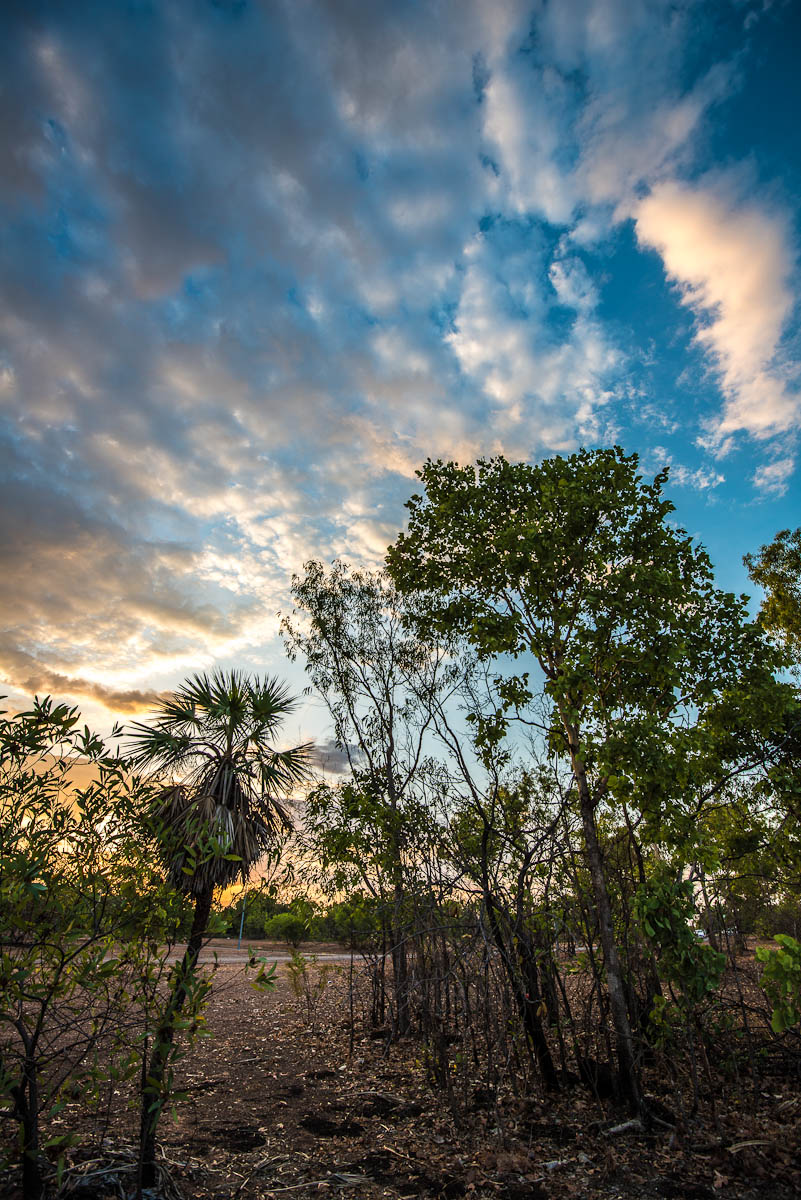 Jabiru 04-10-2012-1.jpg