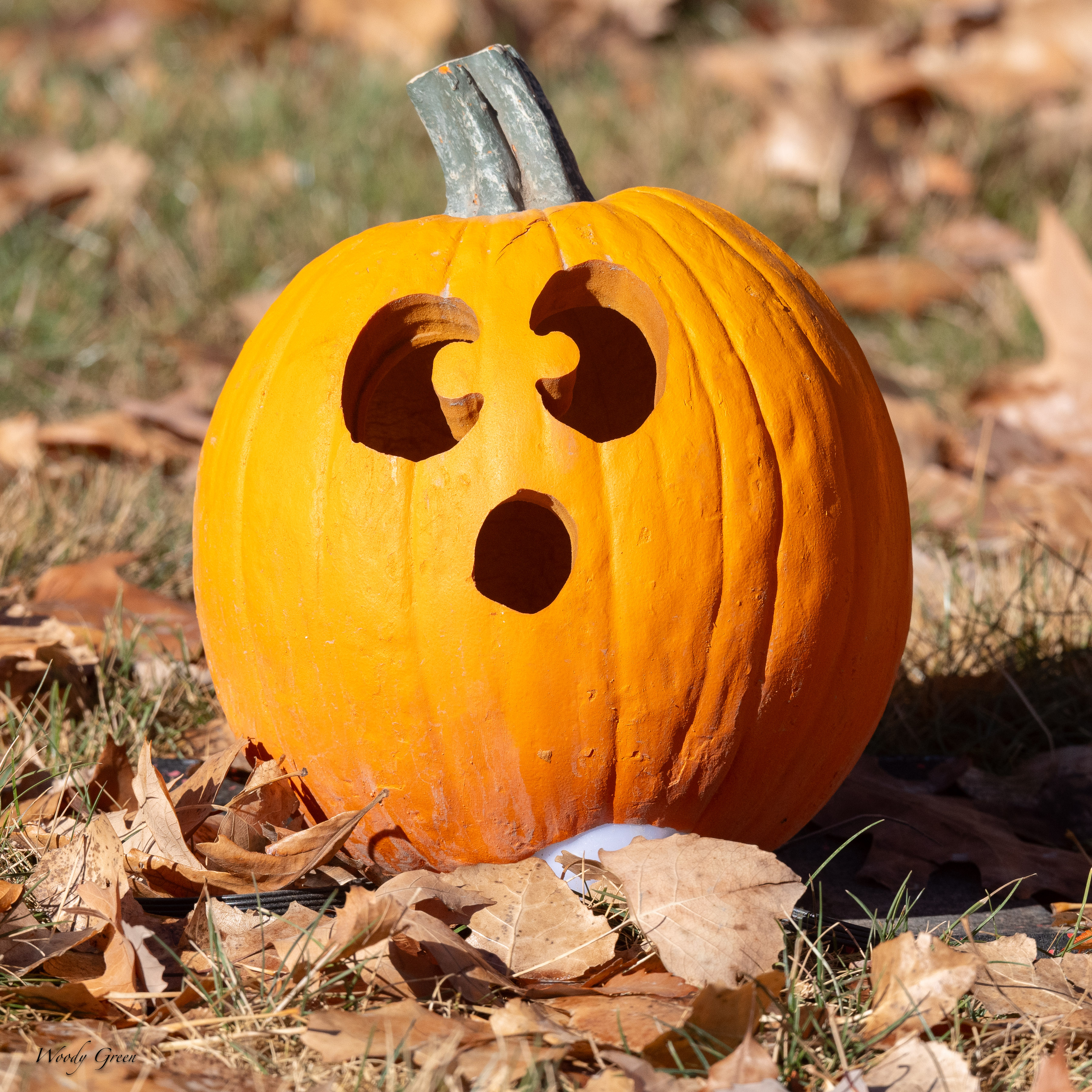 JackOLantern-122.jpg