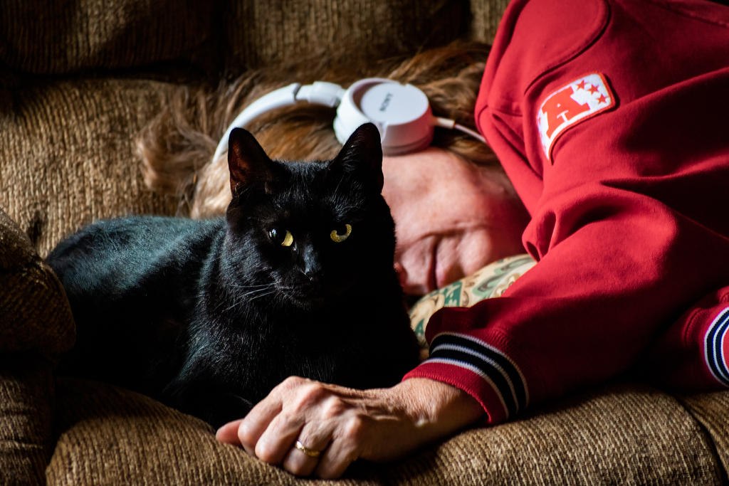 Jan Cat Napping (1 of 1).jpg
