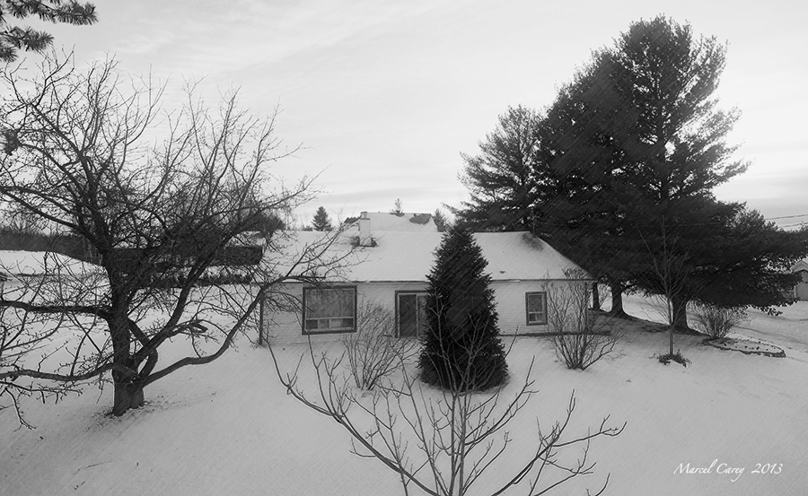 jan25th twilight B&W copy.jpg