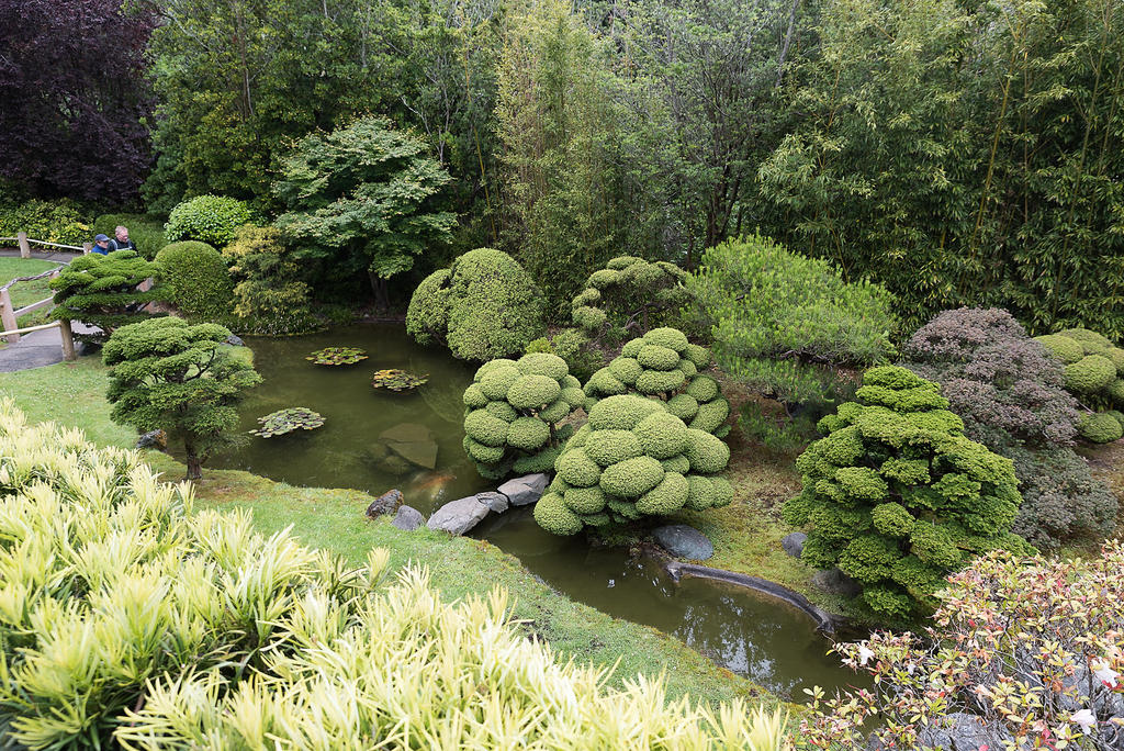 Japanese Garden-2.jpg