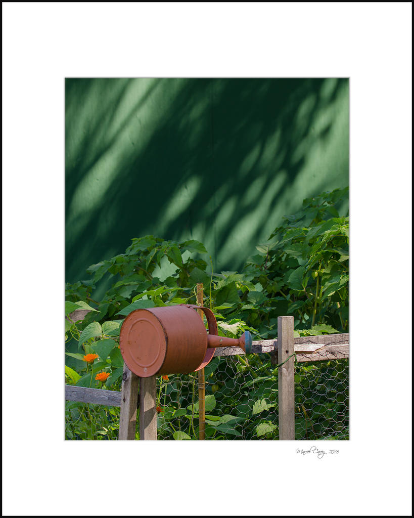jardin.jpg