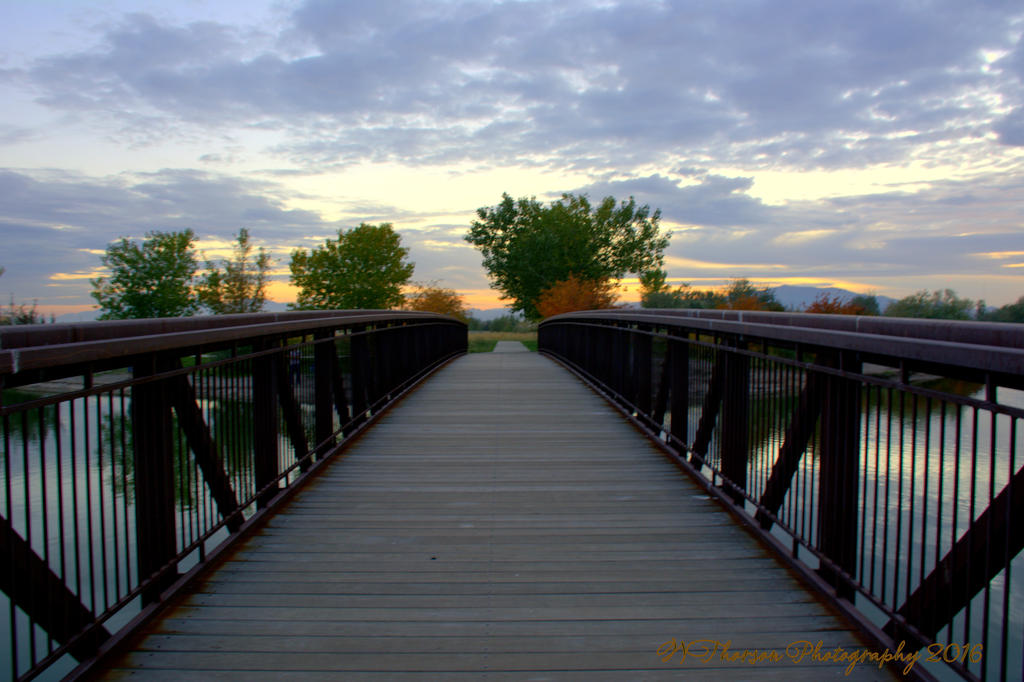 Jensen Pond Bridge 10-13-2016.jpg