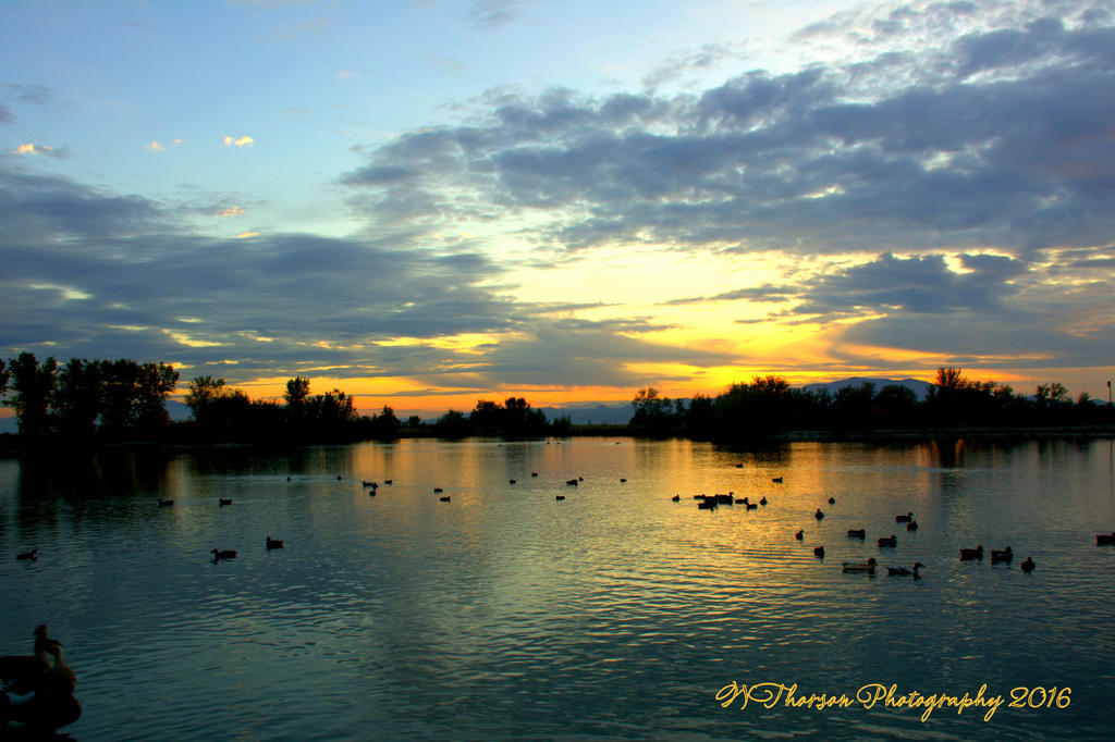 Jensen Pond Sunset 10-13-2016.jpg