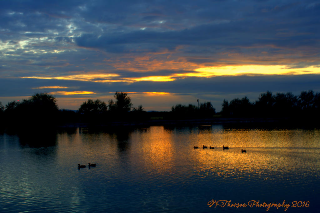 Jensen Pond Sunset  #2 10-13-2016.jpg