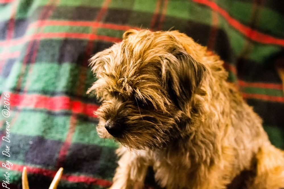 jersey girl-3073-Edit.JPG