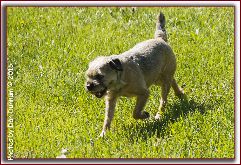 Jersey Girl-5198-Edit.jpg