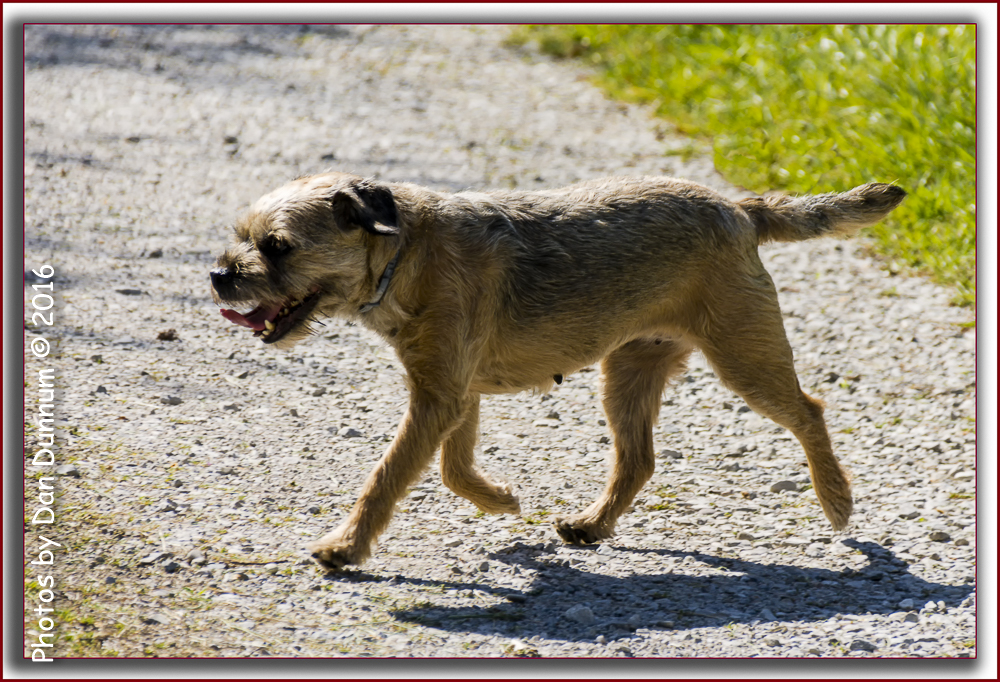 Jersey Girl-5200-Edit.jpg