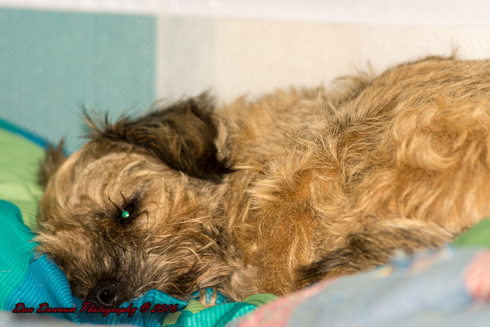 jersey napping-6636.jpg