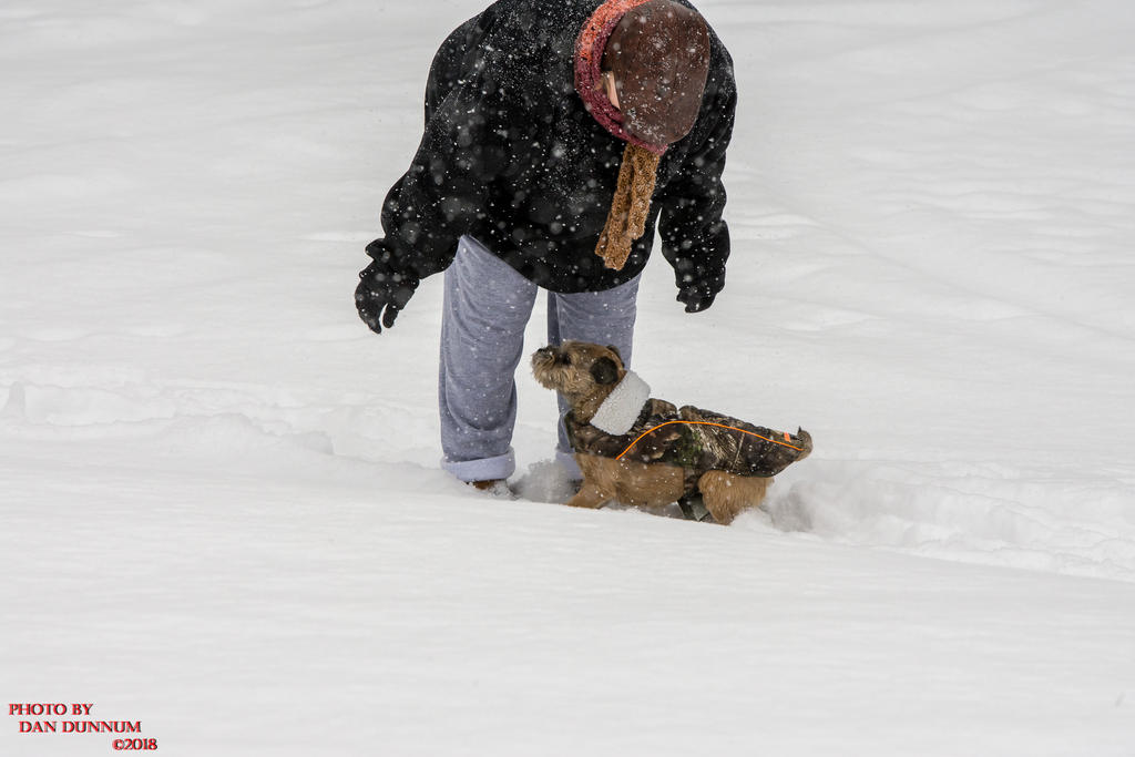 Jersy Girl in Snow-3382.jpg