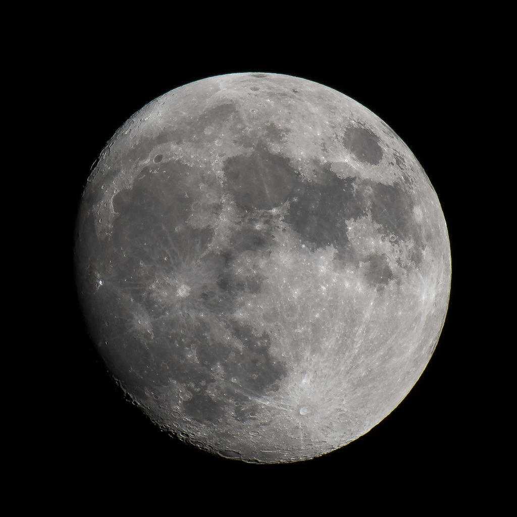 JFS_0398.jpg
