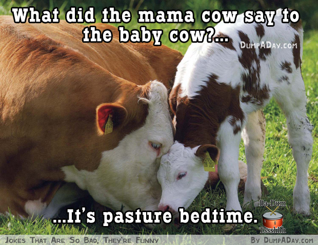 Jokes-That-Are-So-Bad-Theyre-Funny-by-DumpADay-28.jpg