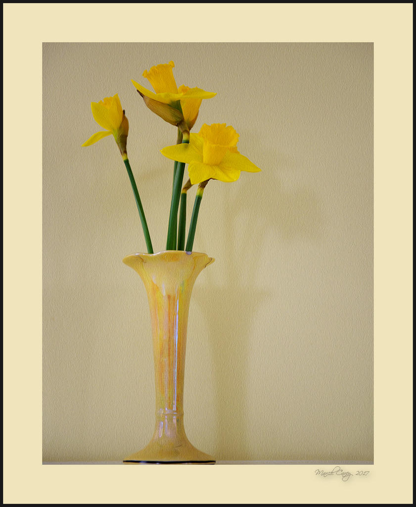 jonquilles.jpg