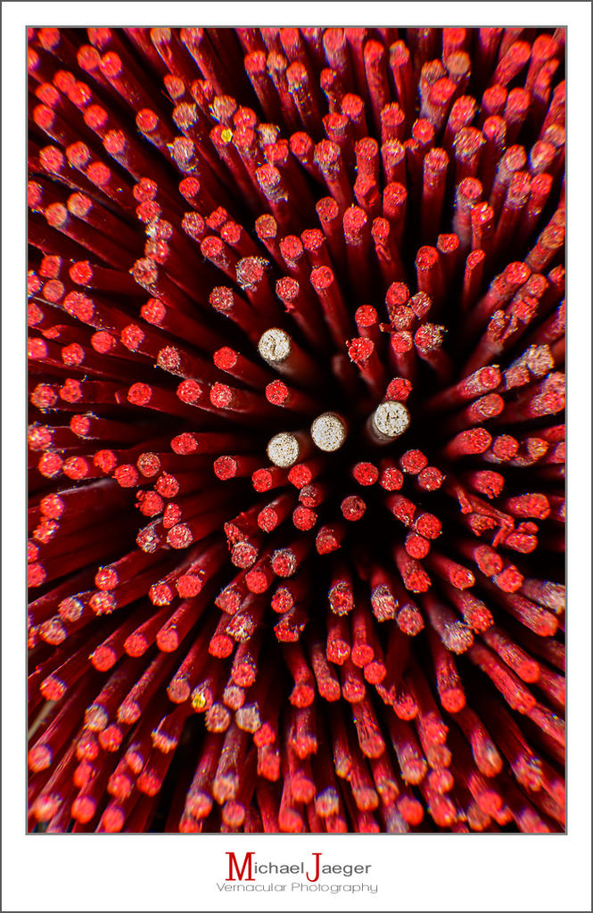 joss-sticks-3.jpg