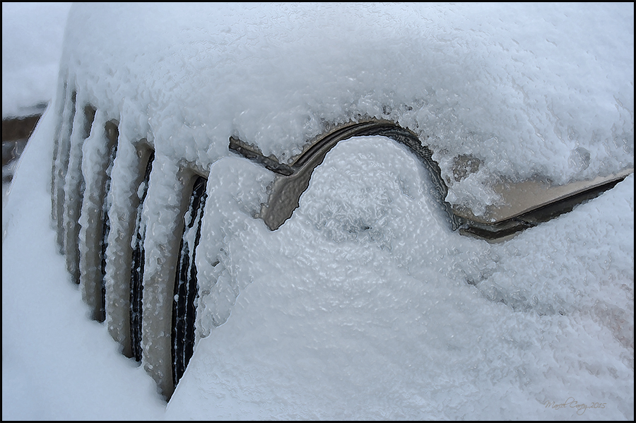 Joys of winter.jpg