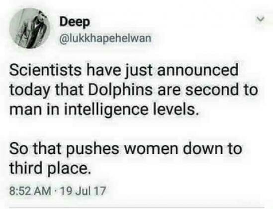 jpegkk.jpg
