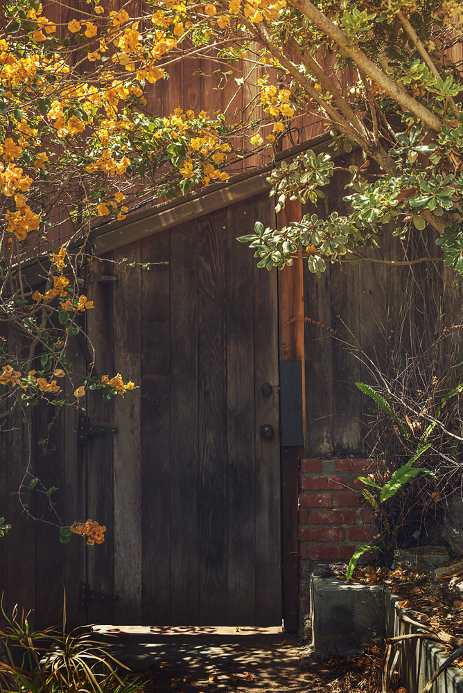 June 6 2015- Hidden Doorway #4.jpg