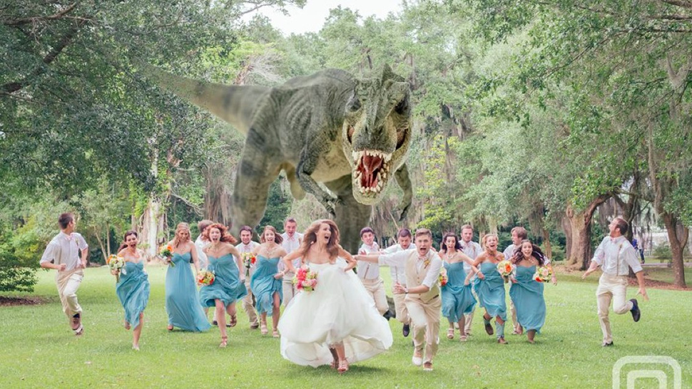 k-bigpic.jpg
