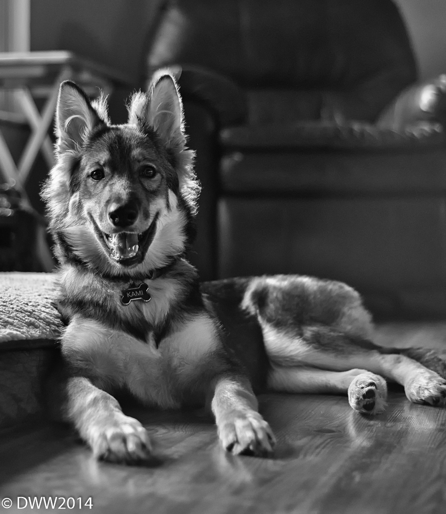 Kami B&W (1 of 1).jpg