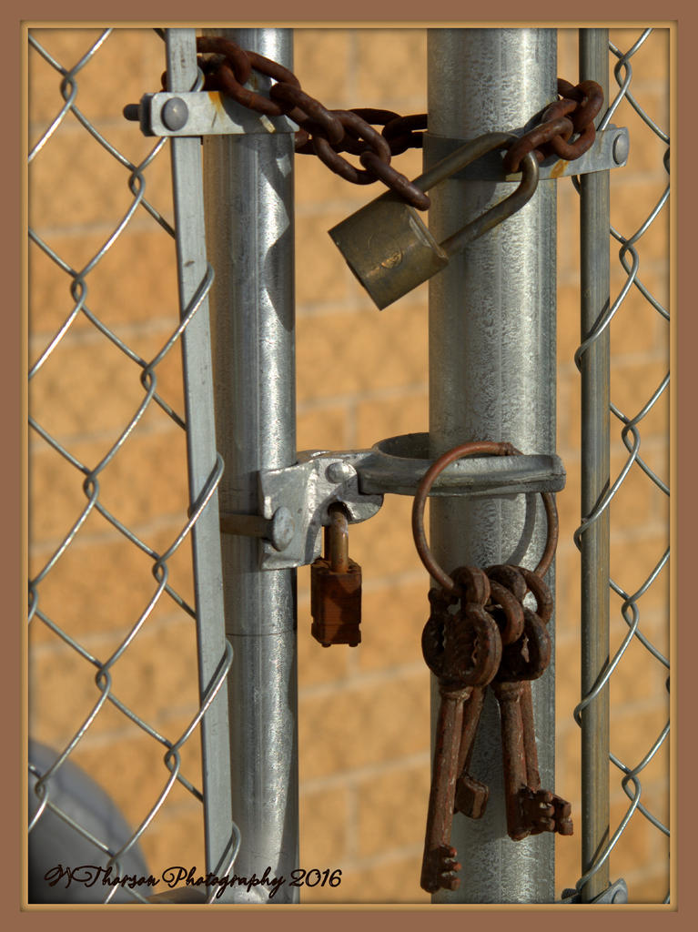 Keys on the Fence with 2 Locks 3-10-2016.jpg