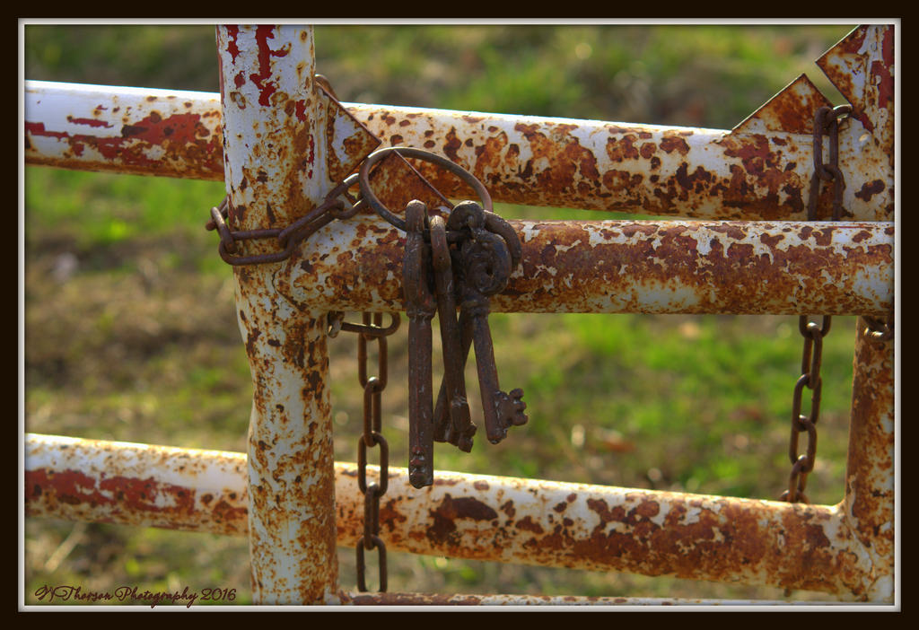 Keys on the White Rusty Fence 3-10-2016.jpg