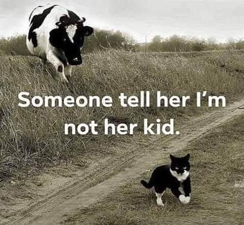 kid.jpg