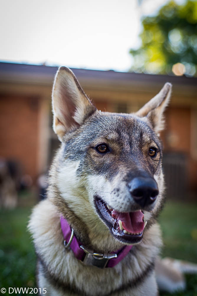 Kira.3 -3.jpg