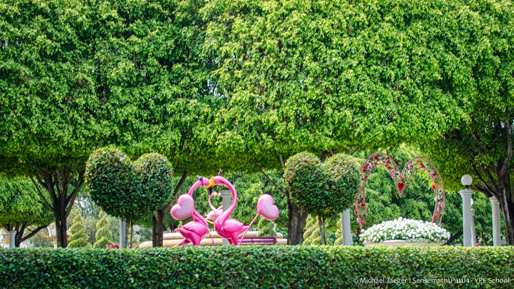 kiss birds-1.jpg