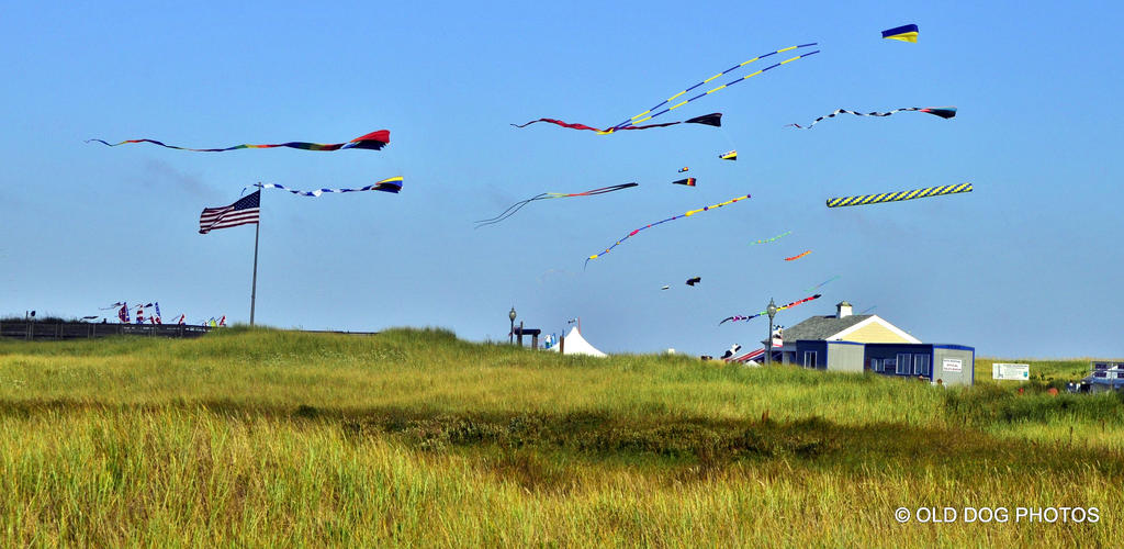 kite fest 001.jpg