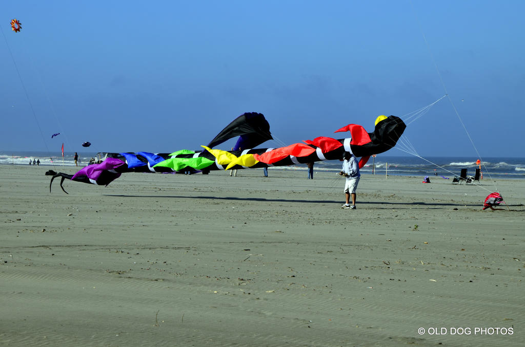 kite fest 060.jpg