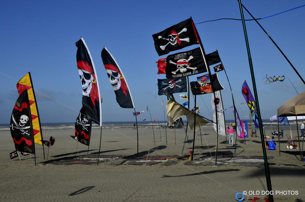kite fest 151.jpg
