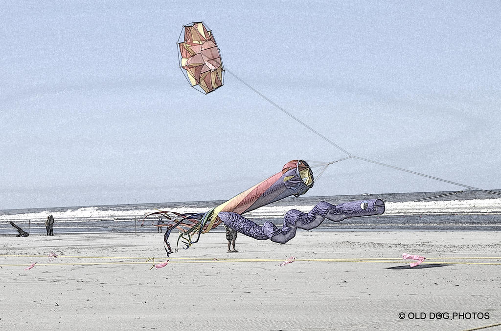 kite fest 494-001.jpg