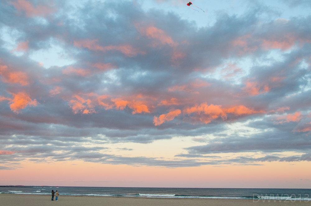 Kite in NH1 (1 of 1).jpg