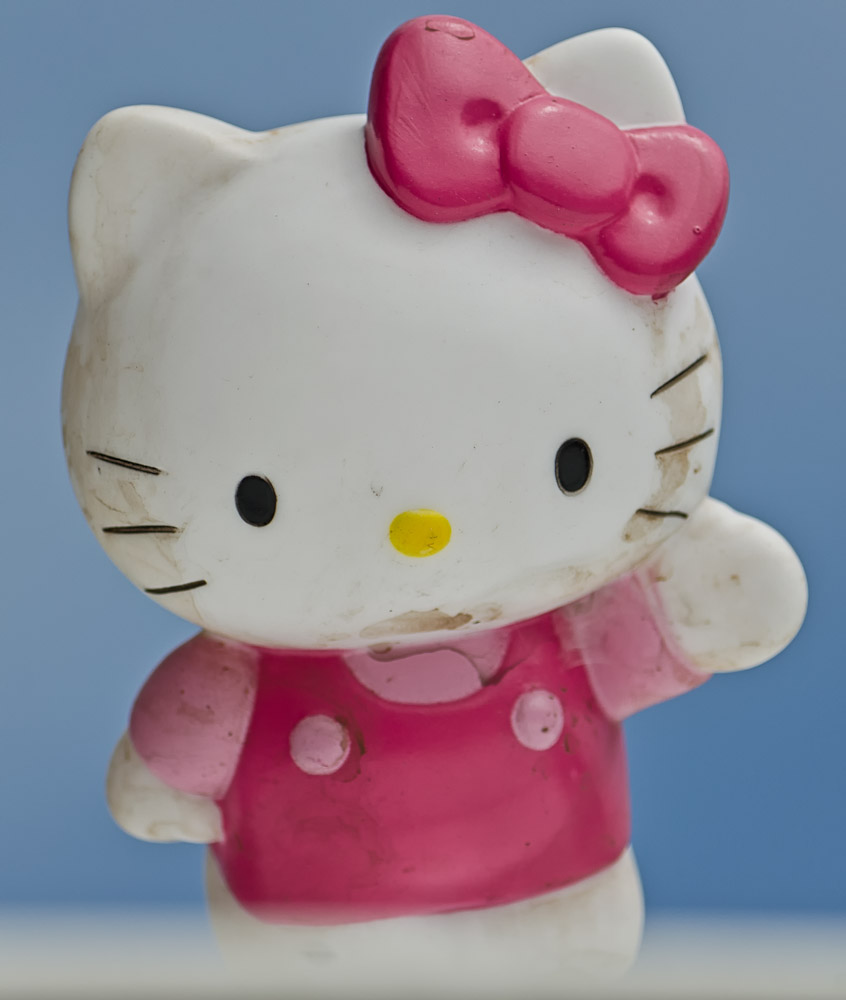 kitty-1.jpg