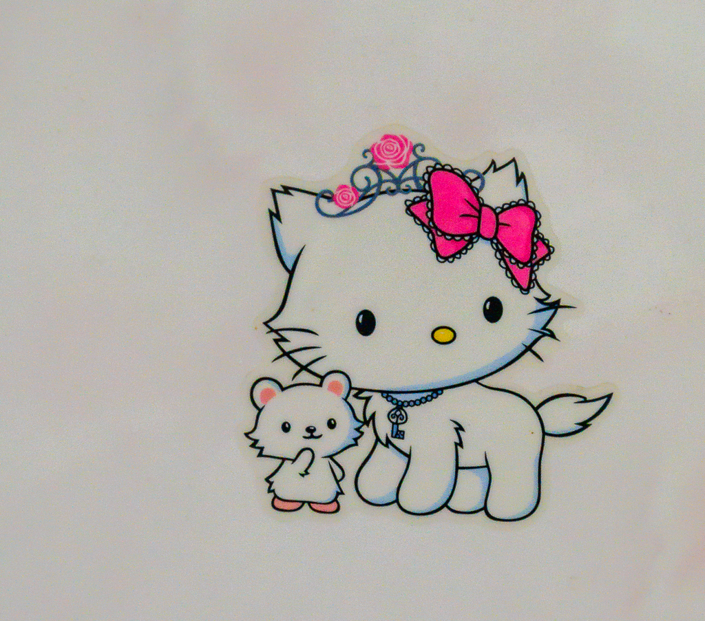 kitty-1.jpg