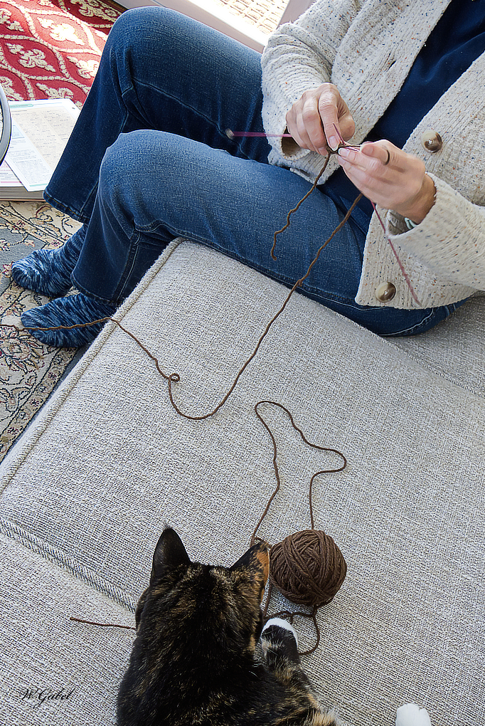KnittingWithHelp3 sm.jpg