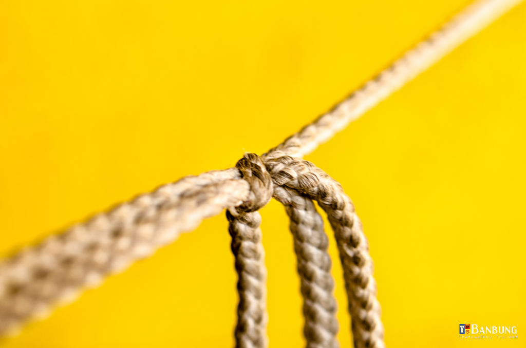 knot-1.jpg