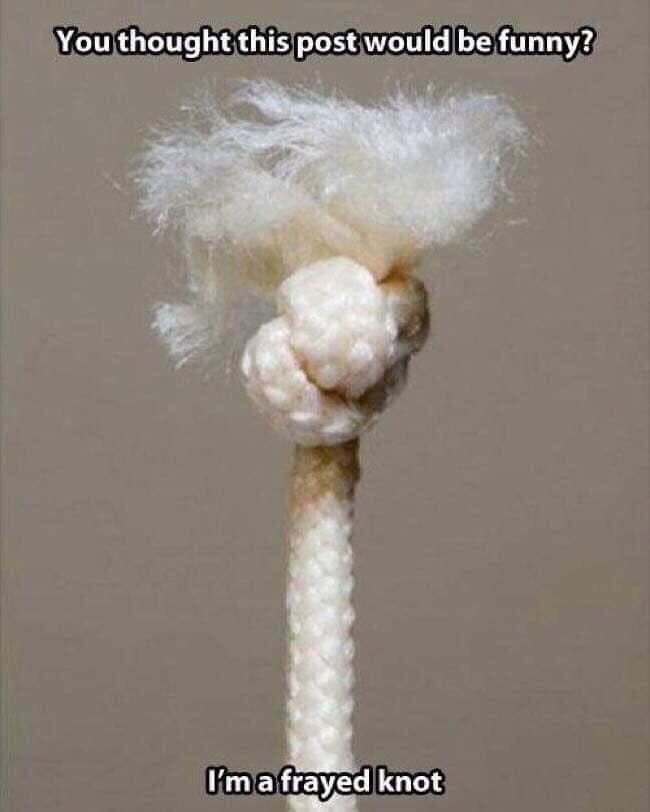 knot.jpg