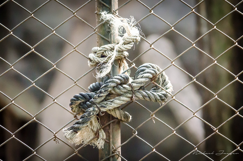 knot1-1.jpg