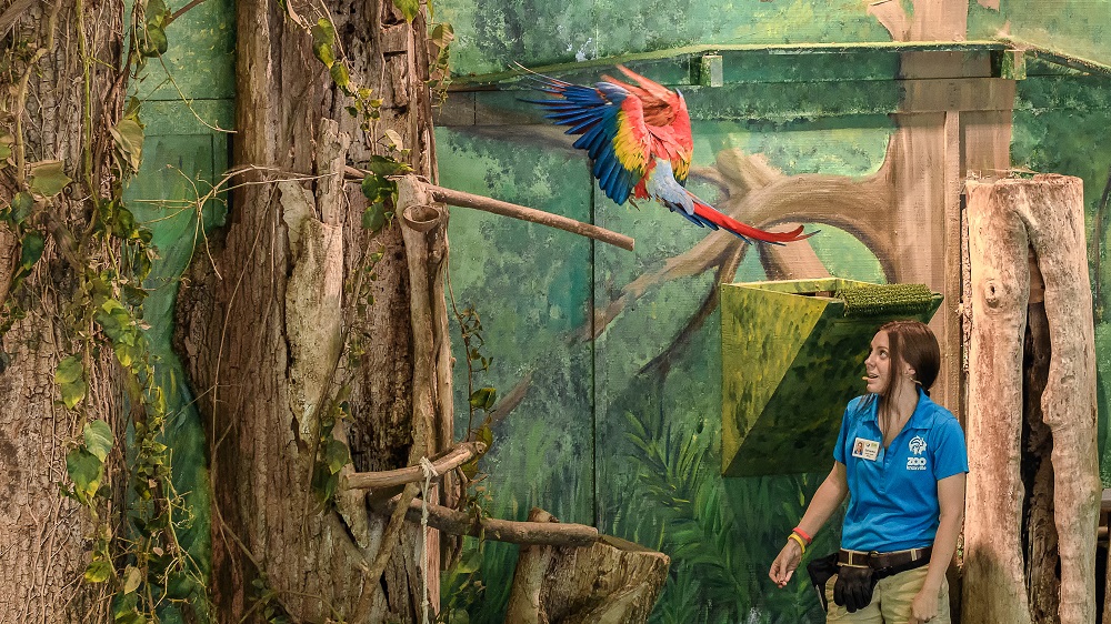 Knoxville Zoo- (2).jpg