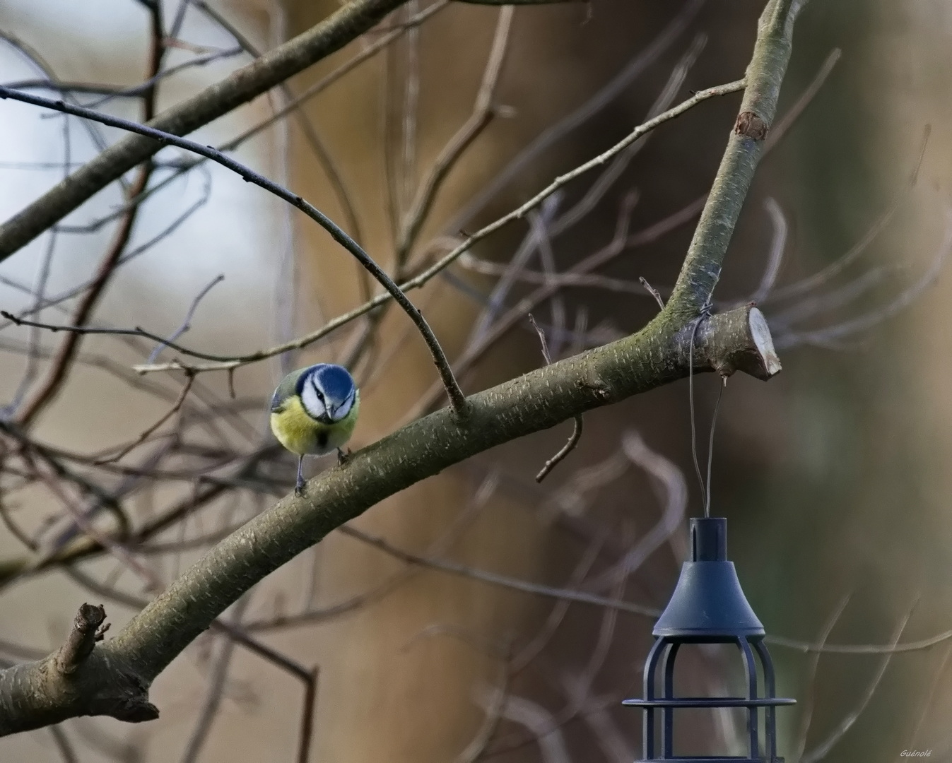 La curieuse_DxO 1080.jpg