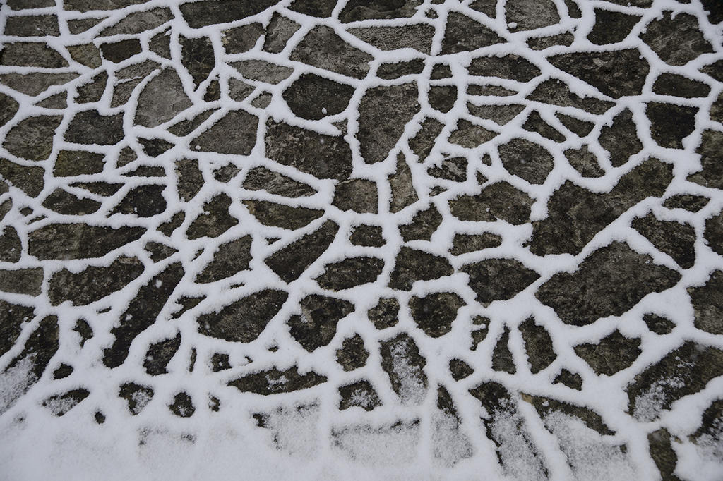 labyrinthe organique.jpg