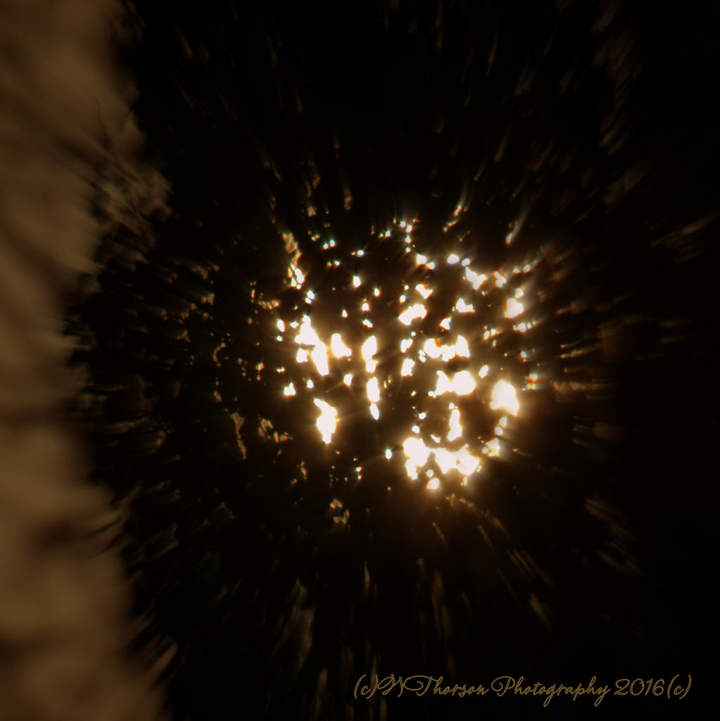 Lacy Super Moon 11-14-2016.jpg