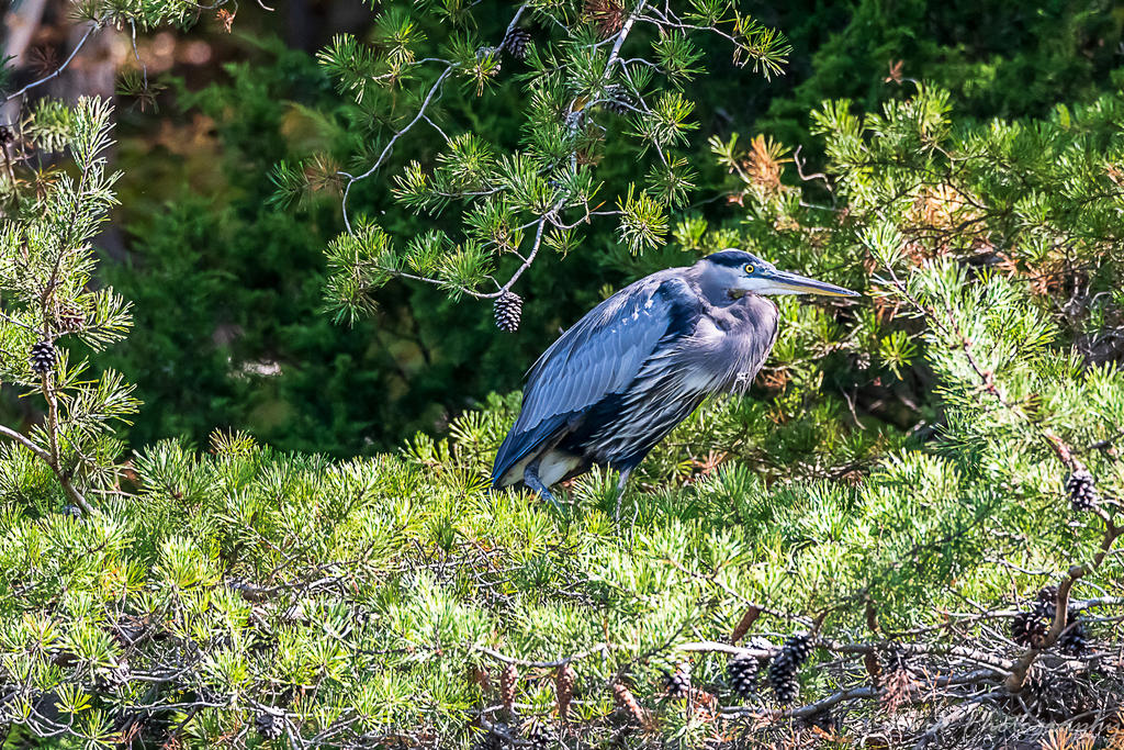 Lake Cumberland-1023.jpg