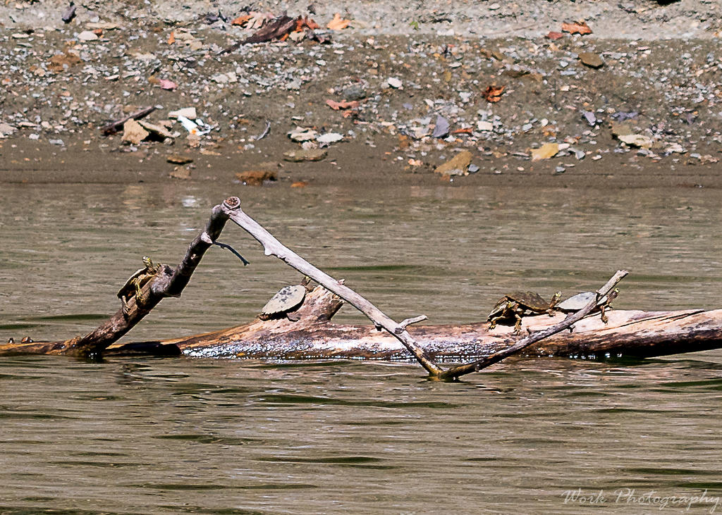 Lake Cumberland-1052.jpg